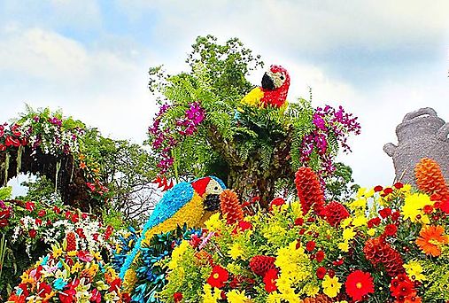 Casi 6 millones gener la Feria de las flores y el caf en Boquete