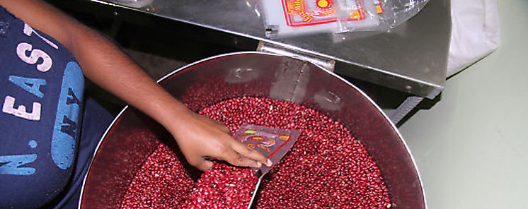 Autoridades y productores revisan costos de produccin de frijoles